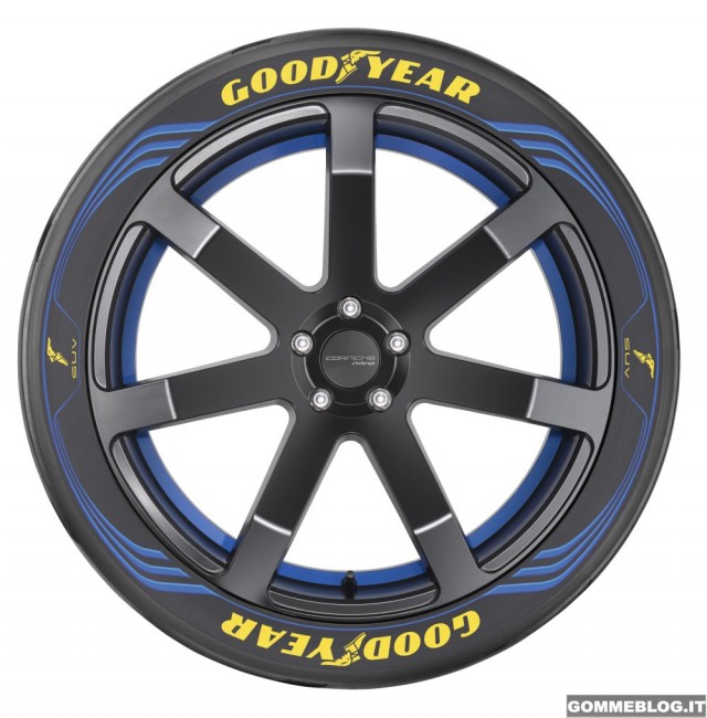 Dunlop-Goodyear-ginevra-19