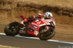 ducati-sbk-2013-australia-10_0