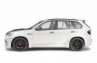 hamannbmw-x5m-3