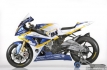 bmw-motorrad-italia-goldbet-sbk-team-55