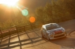 citroen-ds3-rally-21