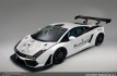 lamborghini-gallardo-lp600-gt3-reiter-14