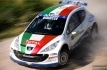 rally-ciocco-2012-peugeot-livrea-8