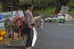 Rally Islas Canarias 2012 4962
