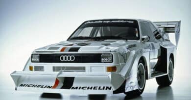 Audi Sport Quattro S1 14
