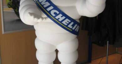Omino Michelin