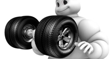 Omino Michelin