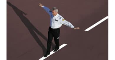 Guidare Pilotare