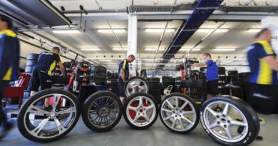 Michelin Pilot Performance Day213