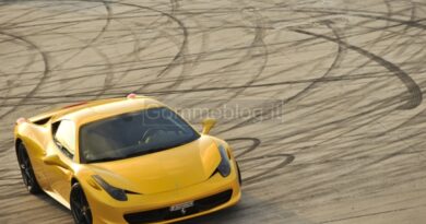 Michelin Pilot Performance Day781