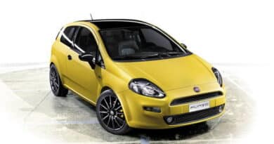 Fiat Punto 2012 Born This Way 1