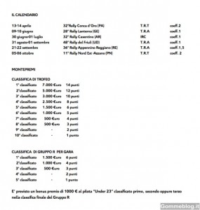 Citroen DS3 Rally 30