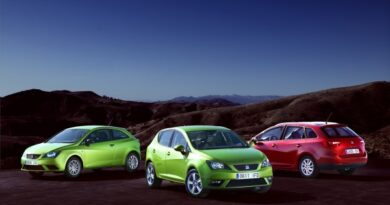 Nuova Seat Ibiza 2012 0