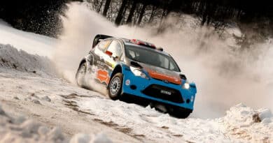 Rally Svezia 2012 8
