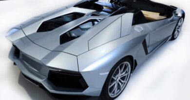 Lamborghini Aventador LP 700 4 Roadster 9