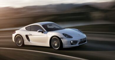 Porsche Cayman 2013 3