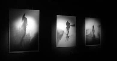 mostra fotografica il movimento e lapparenza di rosso e messori con mazda rosetta messori abbandono dellego trittico it jpg300