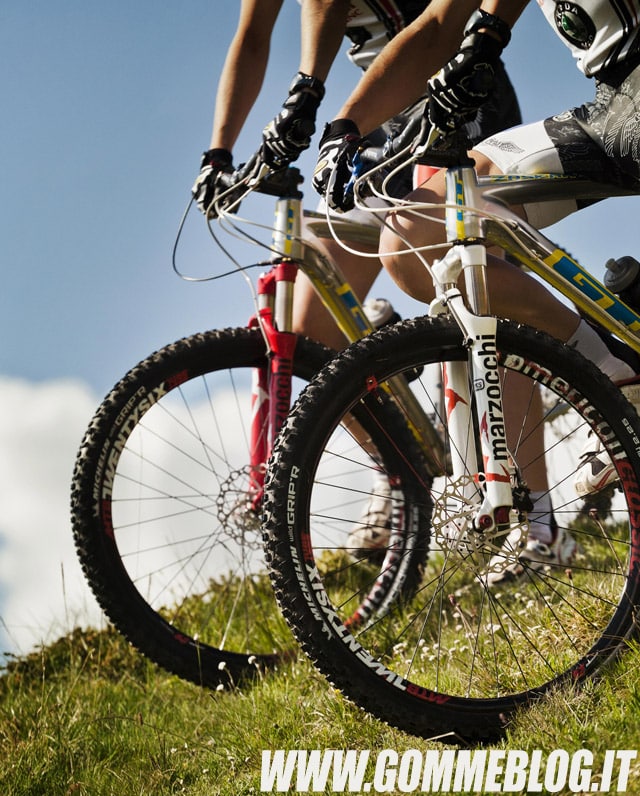 Pneumatici MTB: gamma Michelin Wild 2013 10