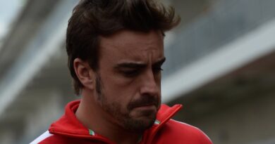 alonso ferrari