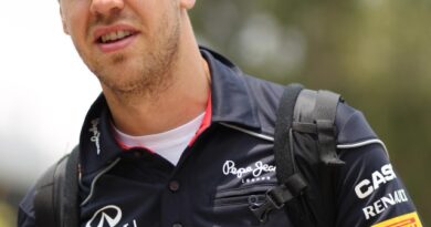 f1 gp malesia 2013 12