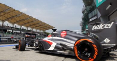 f1 gp malesia 2013 8