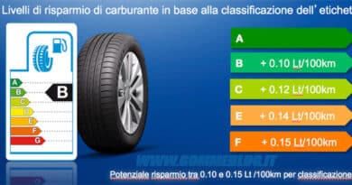 goodyear efficientfrip performance 13