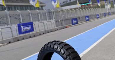 michelin anakee wild