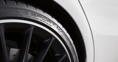 Dunlop Goodyear ginevra 5
