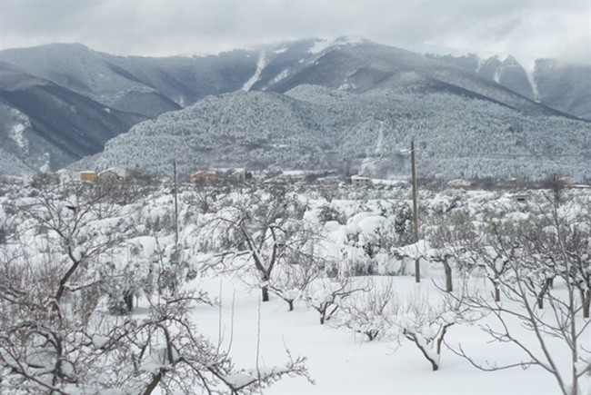 Ordinanze Pneumatici Invernali 2014 – 2015: Abruzzo 9