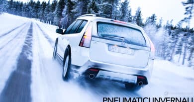 gomme invernali