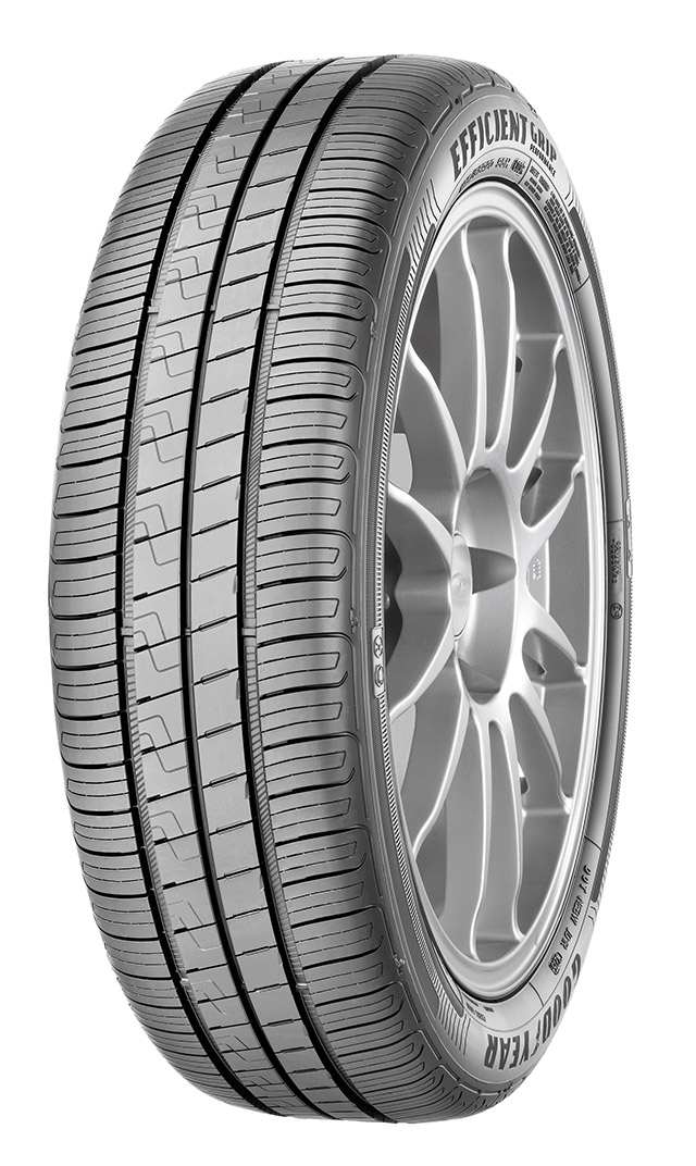Pneumatici Nuova Renault Scenic: Goodyear "Tall and Narrow" 195/55R20 95H XL 1