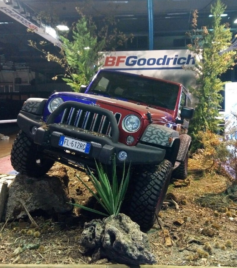 bg goodrich 01