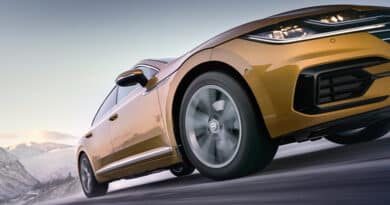 nokian