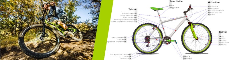 Tecnica Bicicletta