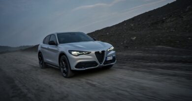 Alfa Romeo Stelvio è “Miglior auto per dirigenti” 29