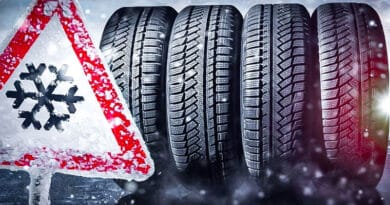 gomme neve 1