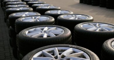 Test TCS Pneumatici Estivi 2026: premium promossi, gomme budget bocciate