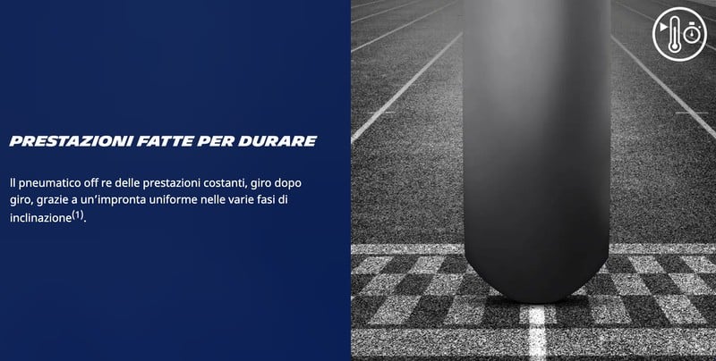 Michelin Power Performance Slick 10